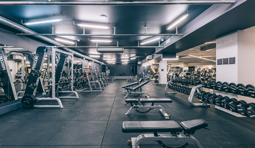 Element, o verdadeiro fitness lowcost
